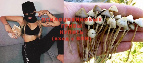 дмт Балахна