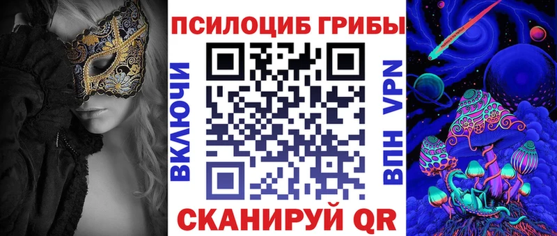 Псилоцибиновые грибы Cubensis Унеча